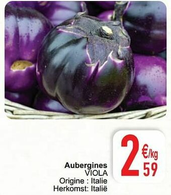Aubergines viola