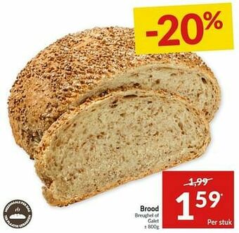 Brood breughel of galet