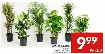 Intermarché Groene planten aanbieding