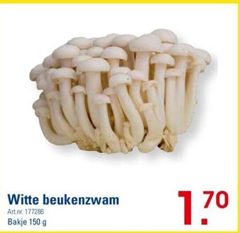 Witte beukenzwam Bakje 150 g