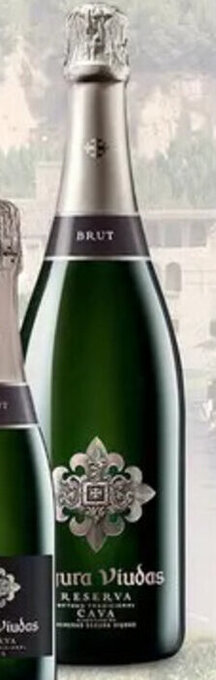 Sligro Segura Viudas Penedès, Cava Brut Reserva 37.5cl aanbieding