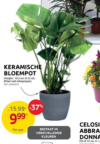 Brico Keramische bloempot aanbieding