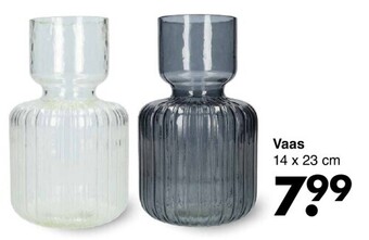 Wibra Vaas aanbieding