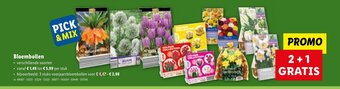 Lidl Bloembollen aanbieding