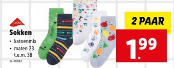 Lidl Sokken 2 PAAR aanbieding