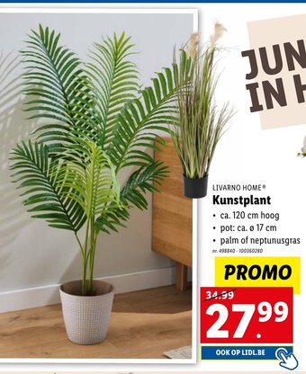 Lidl LIVARNO HOMEⓇ Kunstplant aanbieding