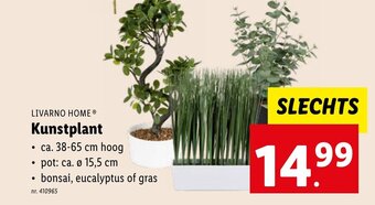 Lidl LIVARNO HOMEⓇ Kunstplant aanbieding
