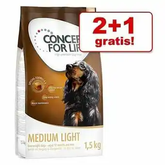 Zooplus 2 + 1 gratis! 3 x 1,5 kg Concept for Life Hondenvoer - Mini Junior aanbieding