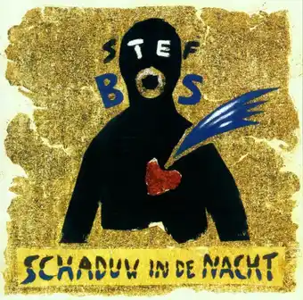 Bol.com Stef bos - schaduw in de nacht (cd) aanbieding