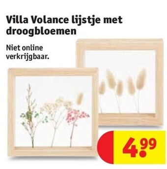 Kruidvat Villa volance lijstje met droogbloemen aanbieding