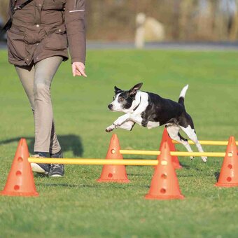 Bol.com Trixie dog activity hordenset - 2 st aanbieding