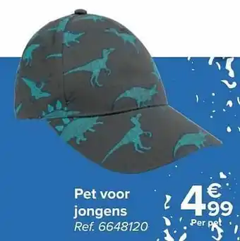 Carrefour Pet voor jongens aanbieding