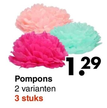 Wibra Pompons aanbieding