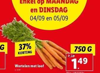 Wortelen met loof