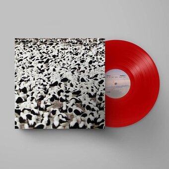 Bol.com Stella donnelly - flood (lp) (coloured vinyl) aanbieding