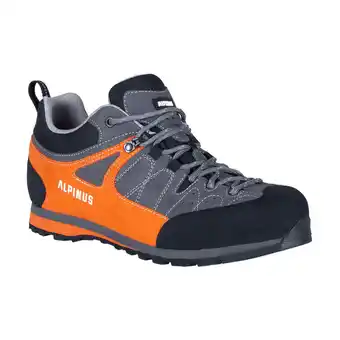 Decathlon Bergwandelschoenen voor heren alpinus the ridge low pro aanbieding