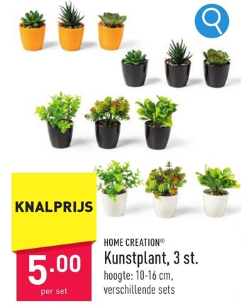ALDI HOME CREATION Kunstplant aanbieding