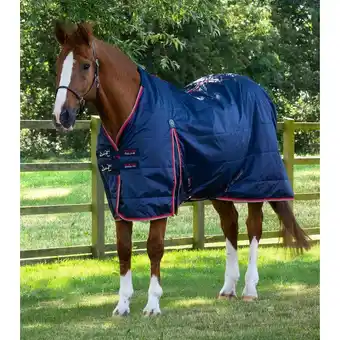 Decathlon Outdoor paardendeken met halsbedekking premier equine titan 40 g aanbieding