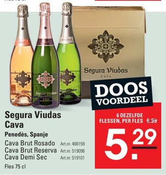 Segura Viudas Cava