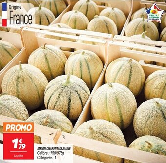 MELON CHARENTAIS JAUNE