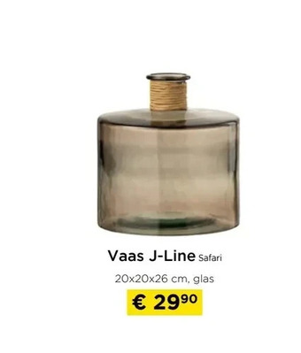 Molecule Vaas j-line safari aanbieding