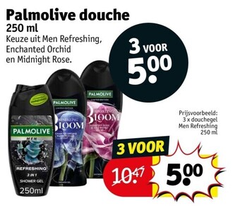 Kruidvat Palmolive douche 250 ml aanbieding