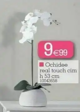 Ochidee real touch cim