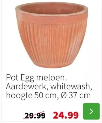Intratuin Pot Egg meloen aanbieding
