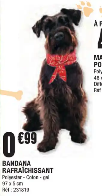 Bandana rafraichissant