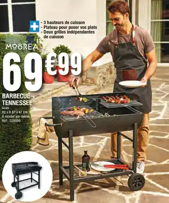 Barbecue tennesse