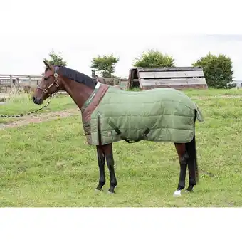 Decathlon Paardendeken harry's horse highliner 200gr aanbieding