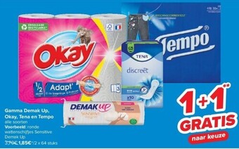 Carrefour Gamma demak up, okay, tena en tempo aanbieding