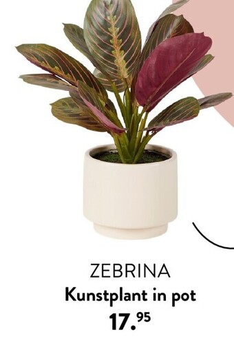 Casa Zebrina kunstplant in pot aanbieding