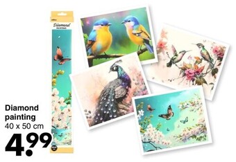 Wibra Diamond painting aanbieding