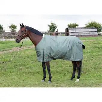 Decathlon Dakbedekking voor buiten harry's horse thor 200gr aanbieding