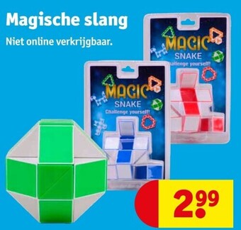 Magische slang
