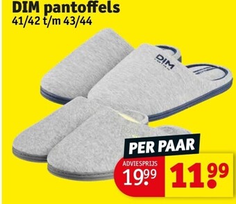 Dim pantoffels