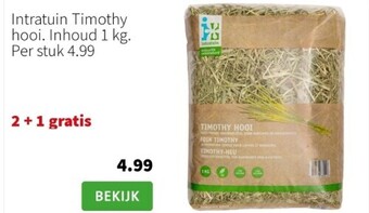 Intratuin timothy hooi