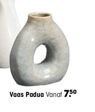 Kwantum Vaas padua aanbieding