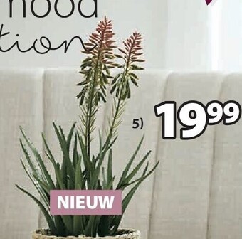 Jysk Rasmus kunstplant aanbieding