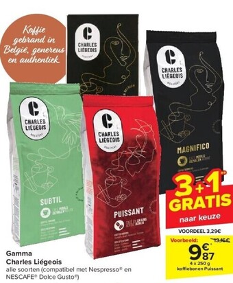 Carrefour Gamma charles liégeois aanbieding