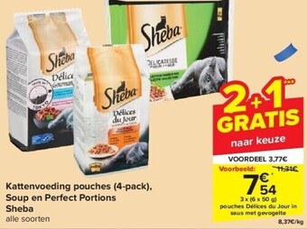 Carrefour Kattenvoeding pouches (4-pack), soup en perfect portions sheba aanbieding