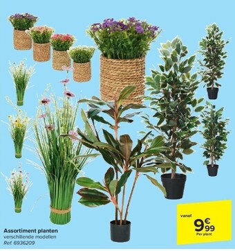 Assortiment planten