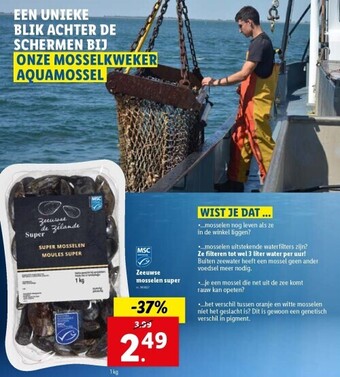 Zeeuwse mosselen super