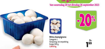 Witte champignons