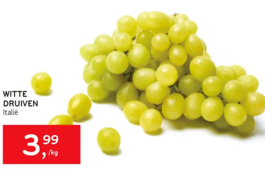 Alvo WITTE DRUIVEN aanbieding