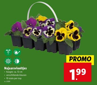 Lidl Najaarsviooltjes aanbieding