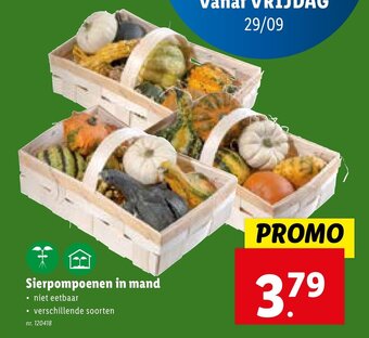 Lidl Sierpompoenen in mand aanbieding