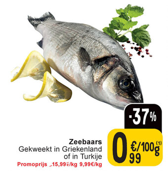 Cora Zeebaars aanbieding