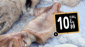 Cora Inktvis aanbieding